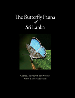 Butterfly Fauna of Sri Lanka