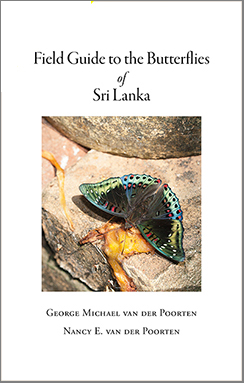 Field Guide to the Butterflies of Sri Lanka